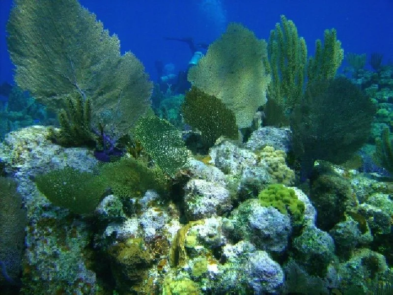 PICT0092.JPG