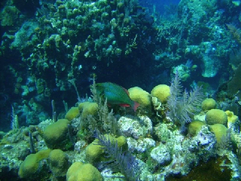 PICT0093.JPG
