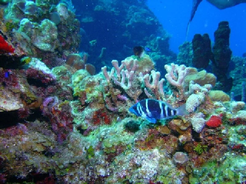 PICT0096.JPG