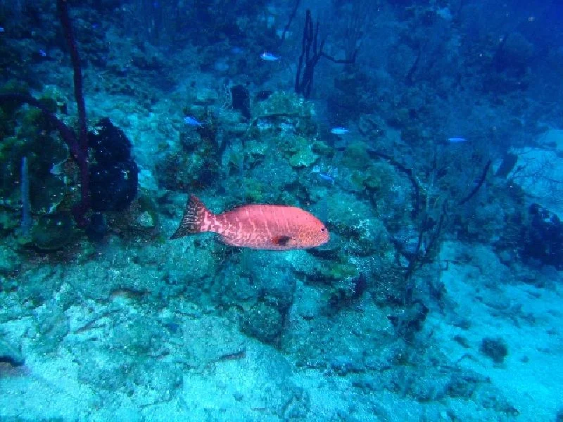 PICT0097.JPG