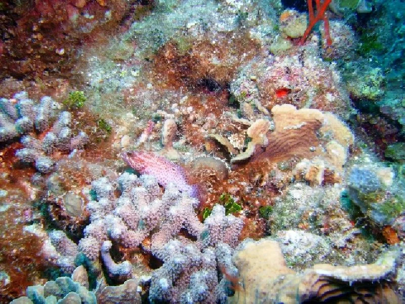 PICT0104.JPG