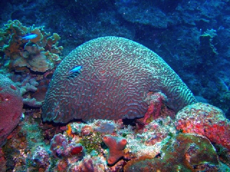 PICT0110.JPG