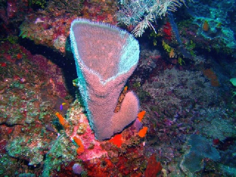 PICT0114.JPG