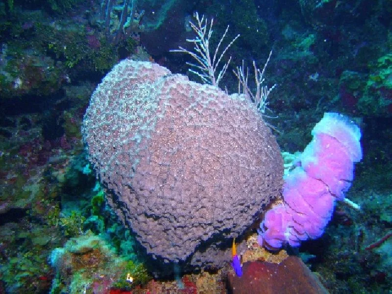 PICT0115.JPG