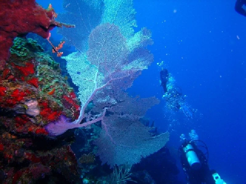 PICT0118.JPG