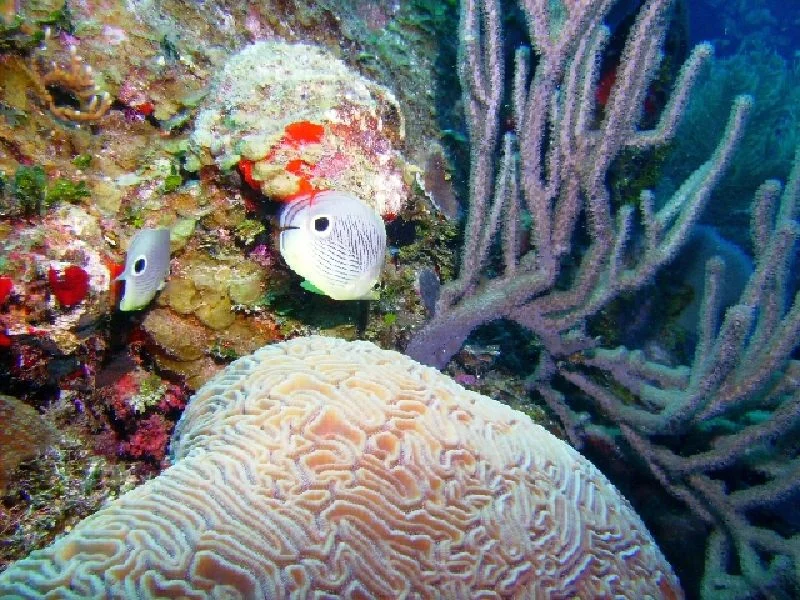 PICT0120.JPG