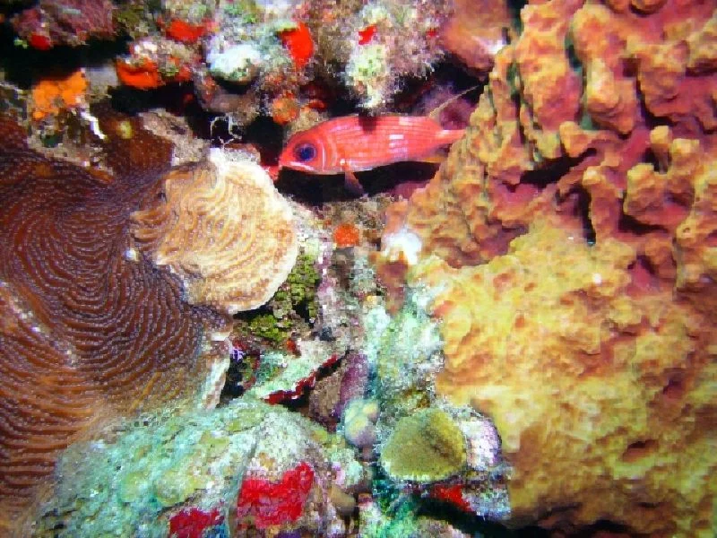PICT0125.JPG
