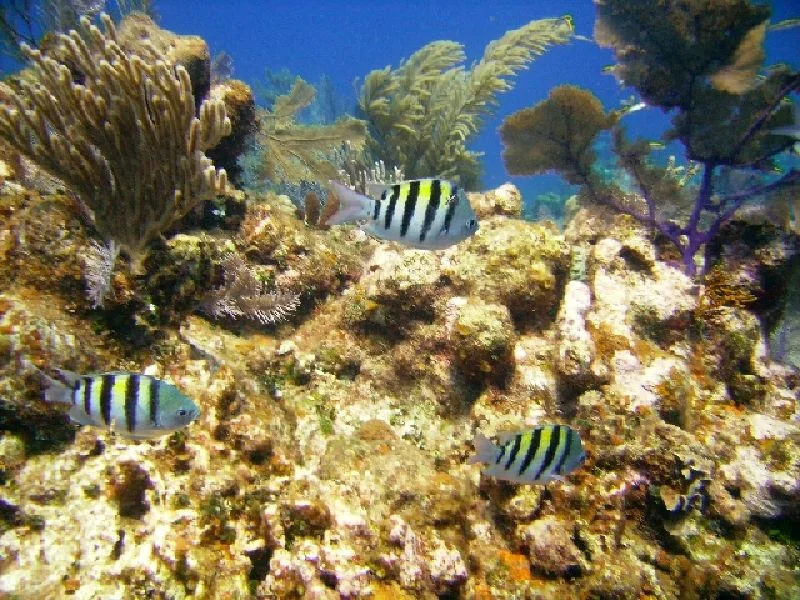 PICT0130.JPG