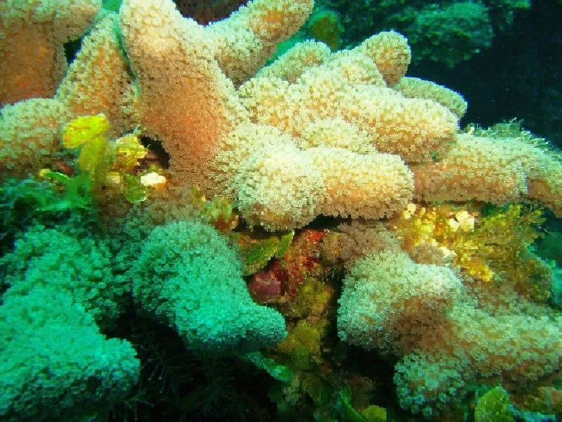 PICT0134.JPG