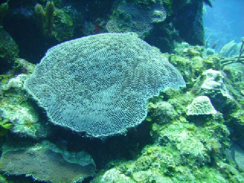 PICT0140.JPG