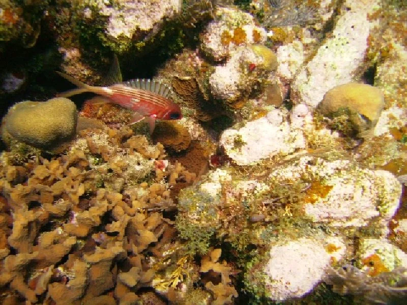 PICT0147.JPG