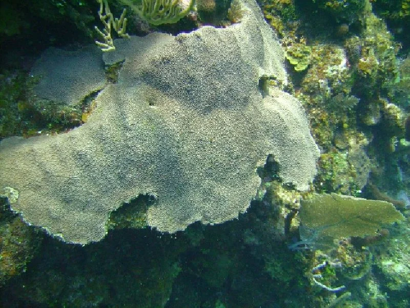 PICT0148.JPG