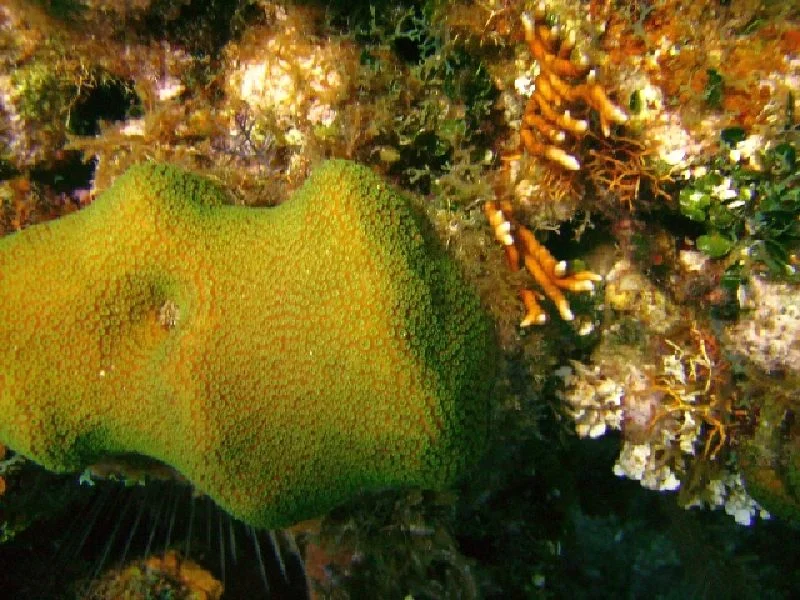 PICT0150.JPG