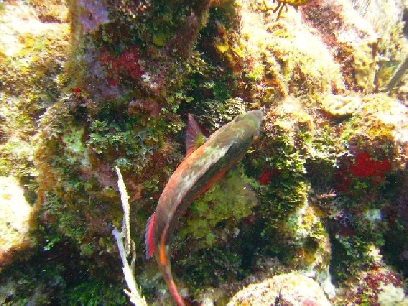 PICT0152.JPG