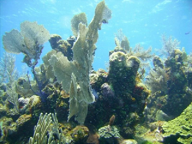 PICT0154.JPG