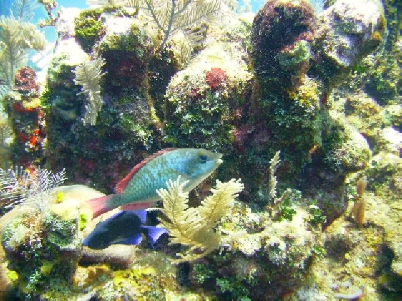 PICT0155.JPG