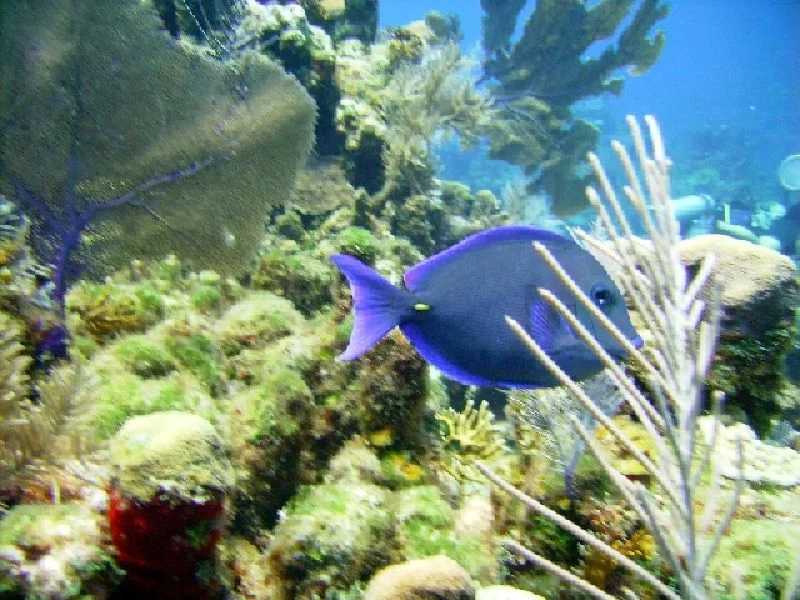 PICT0156.JPG