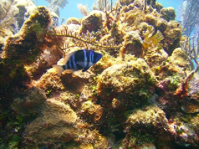 PICT0159.JPG