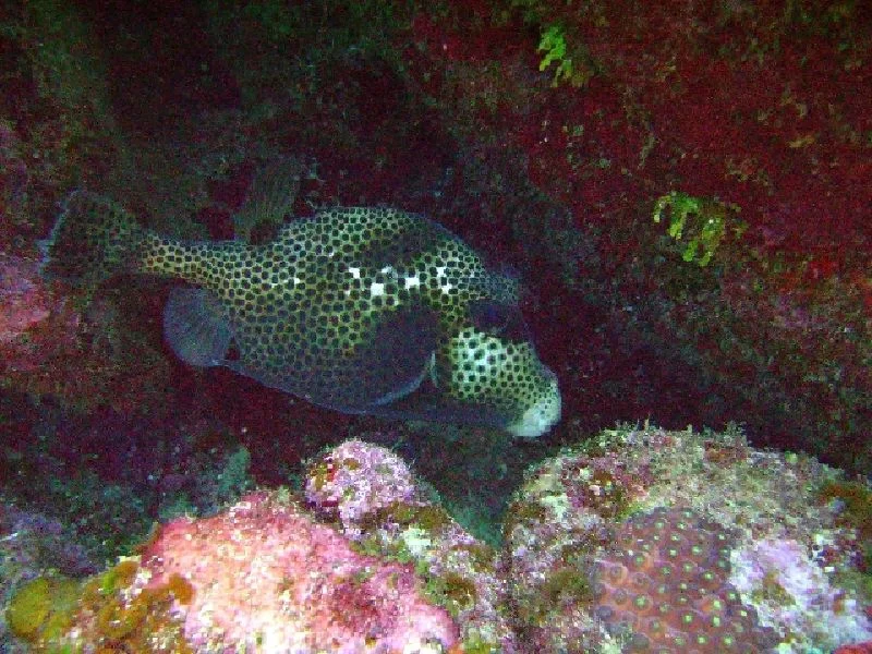 PICT0161.JPG