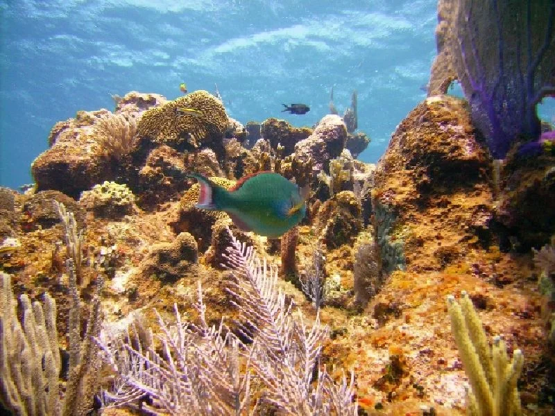 PICT0162.JPG