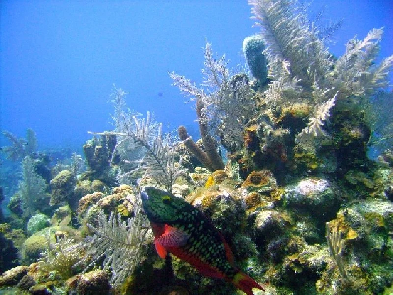 PICT0171.JPG