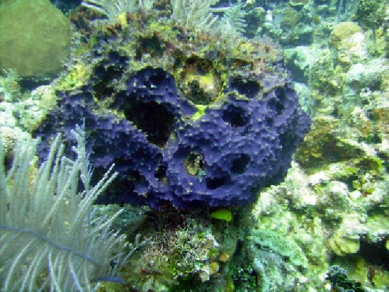 PICT0177.JPG