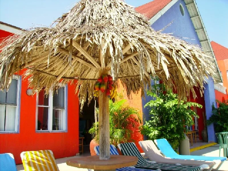 PICT0027 - Copy - Copy.JPG