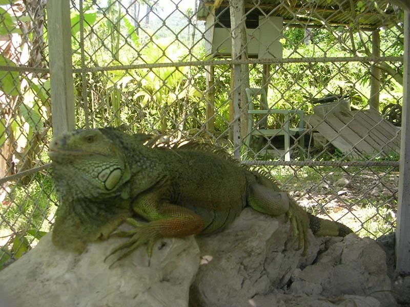 DSCN3545.JPG