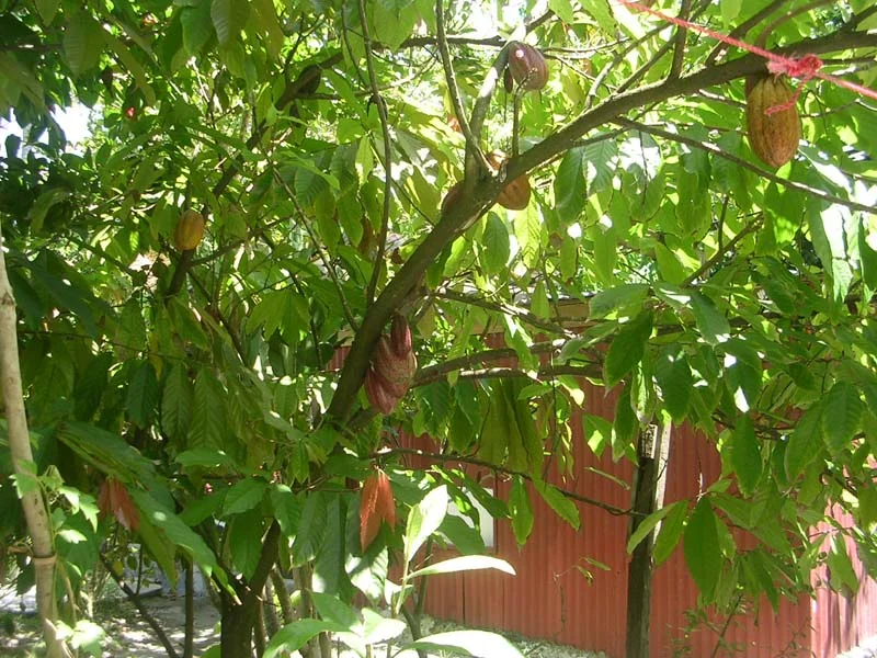 DSCN3546.JPG
