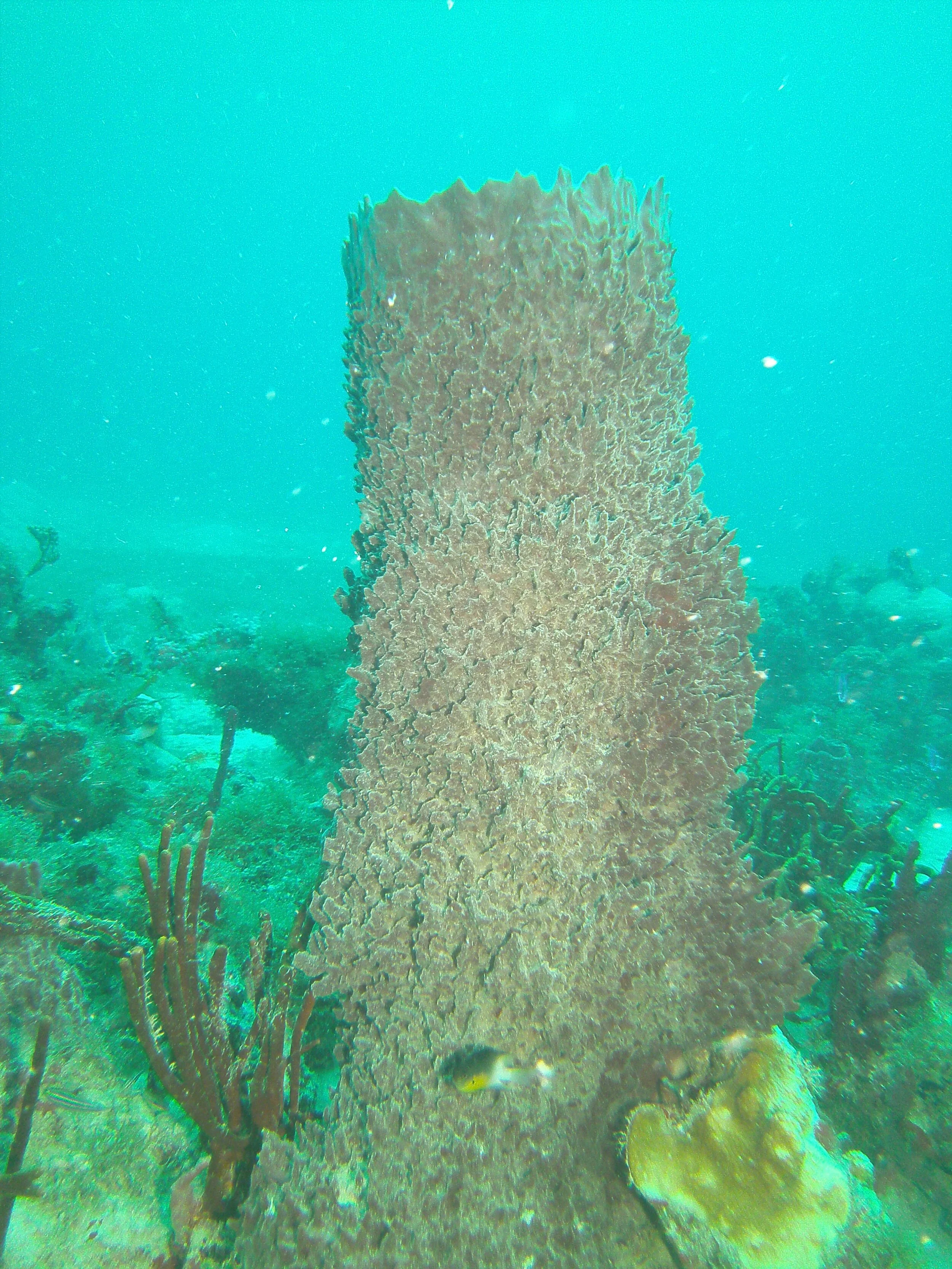 PICT0361.JPG
