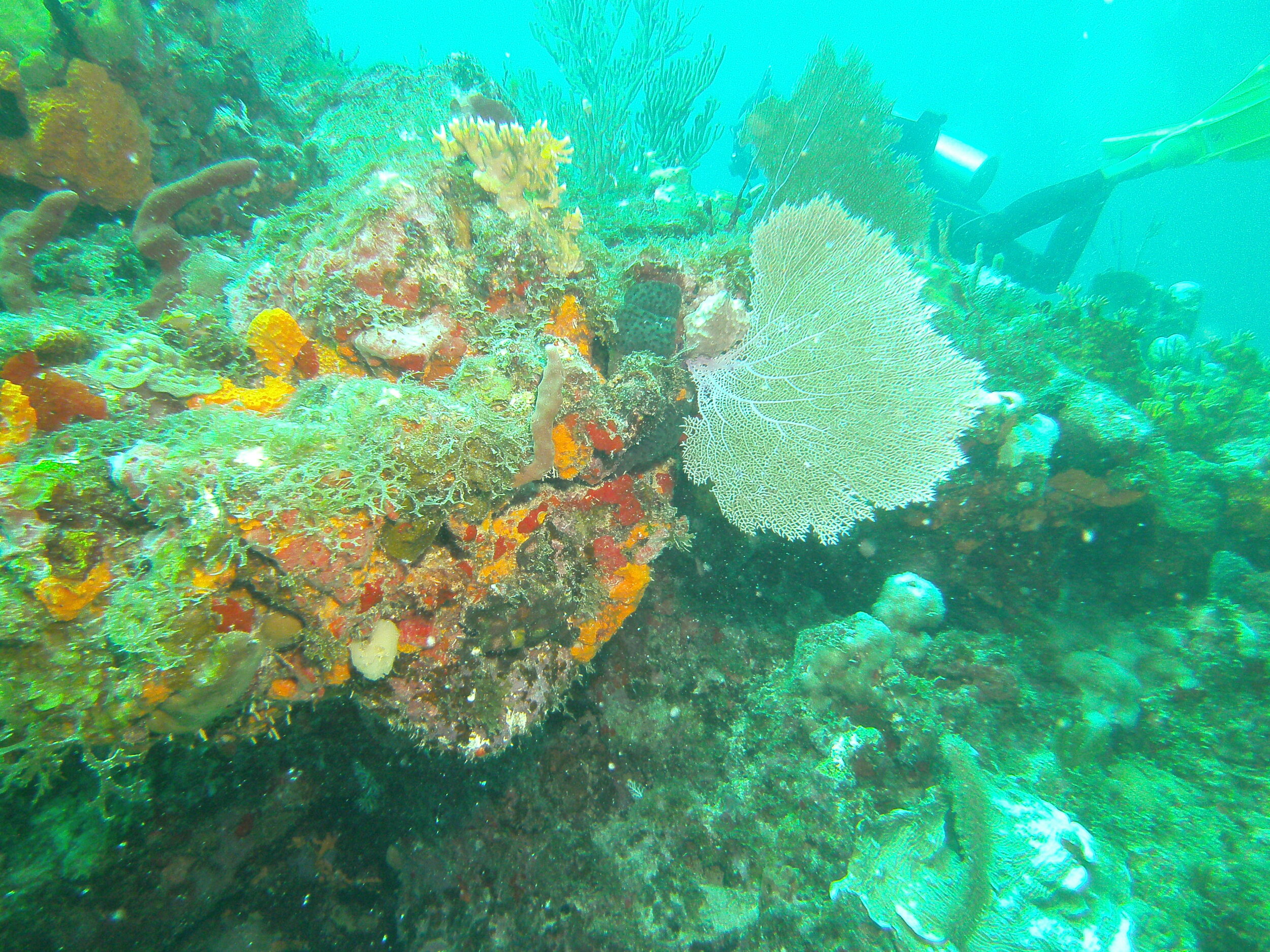PICT0464.JPG