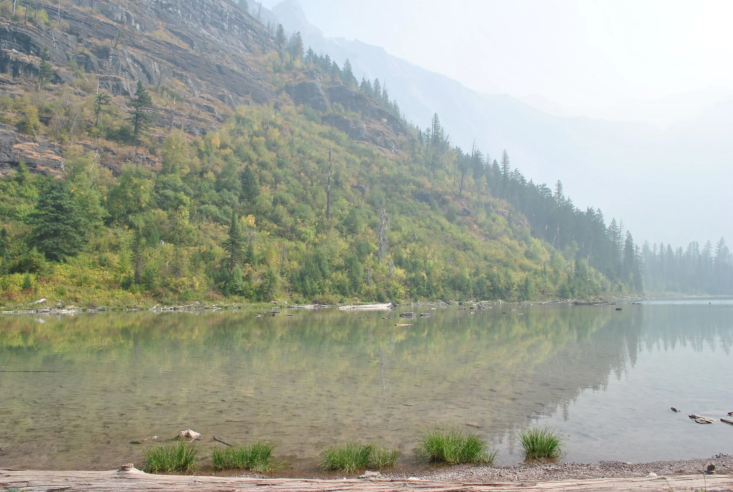 DSC_9463.JPG