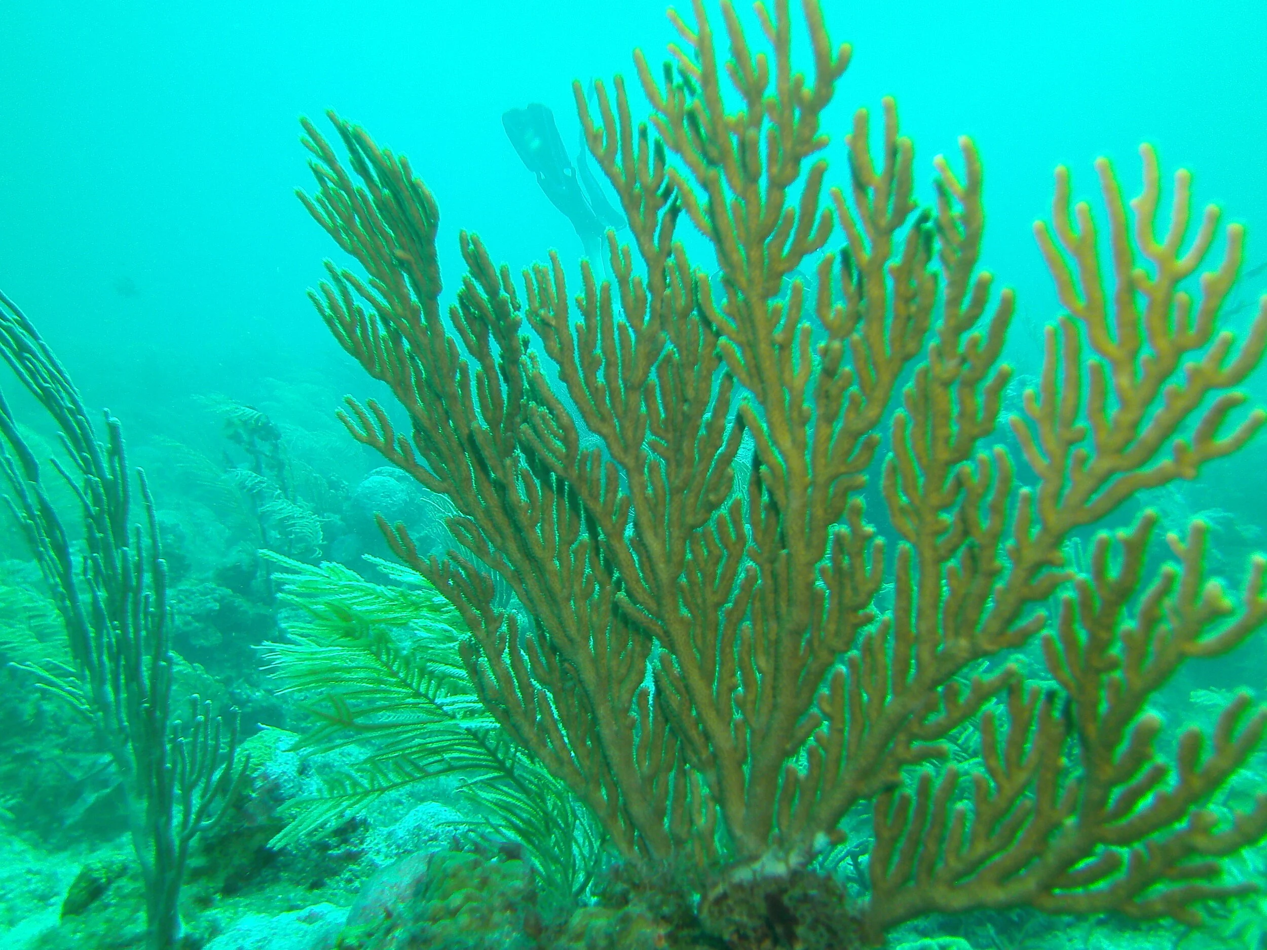 PICT0611.JPG