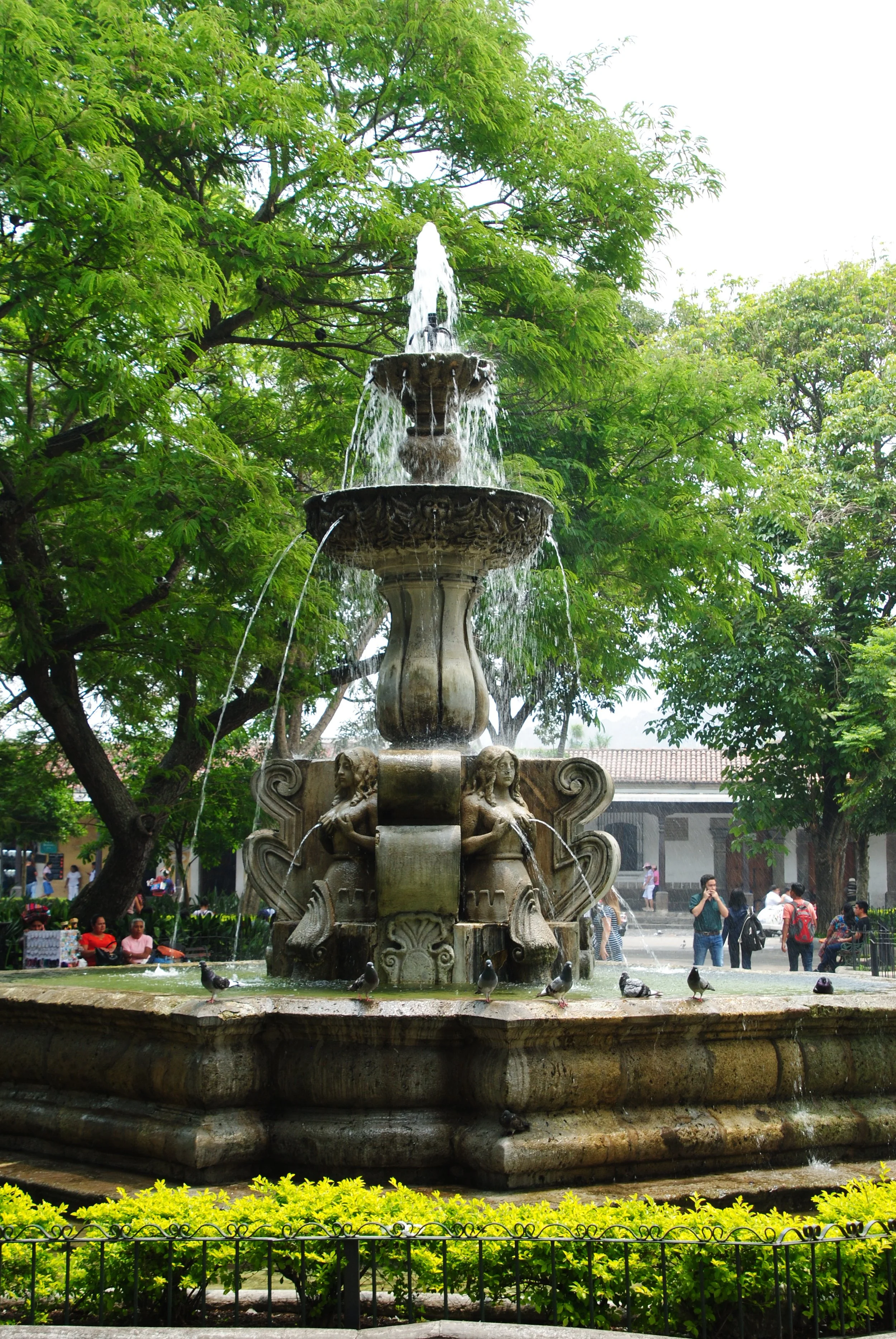 DSC_2351.JPG