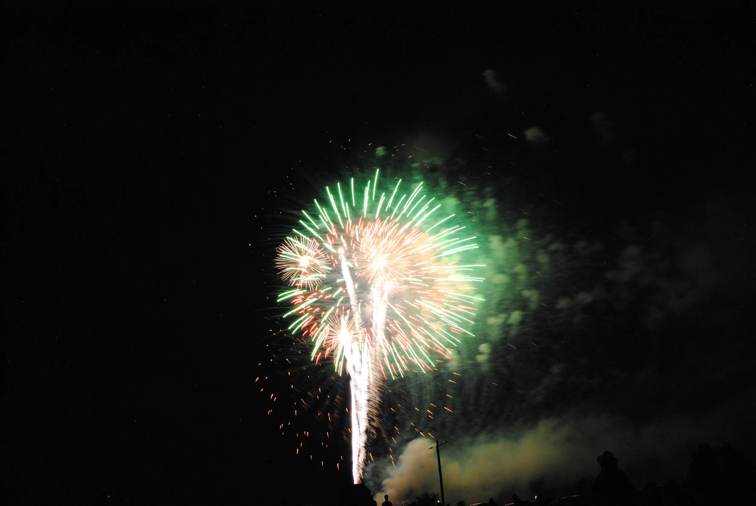 DSC_3079.JPG
