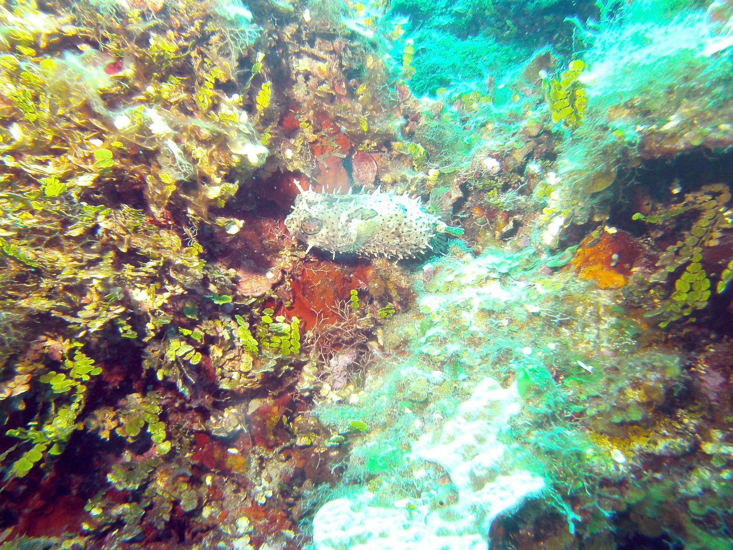 IMG_0236.JPG
