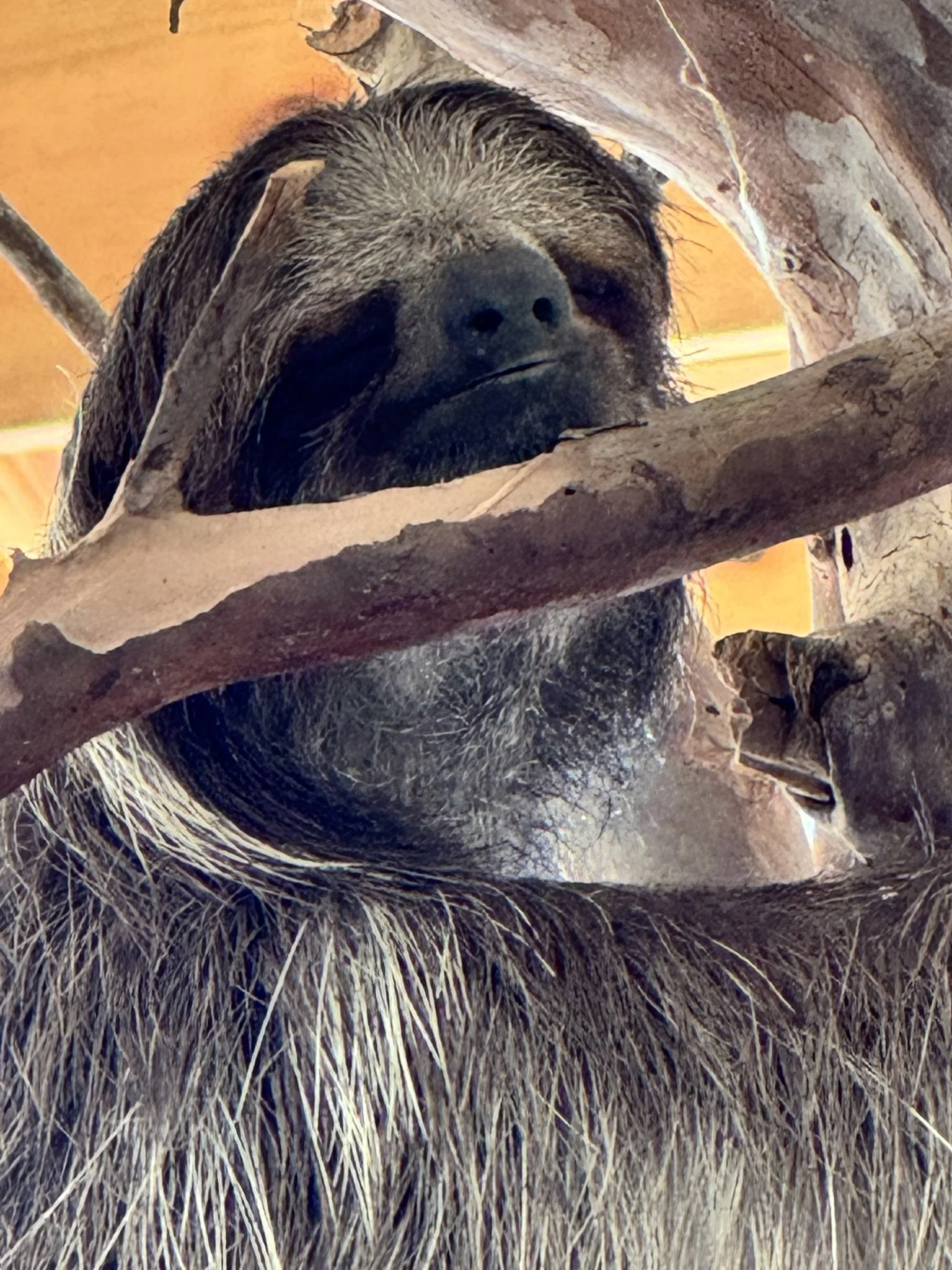 IMG_2615.JPEG