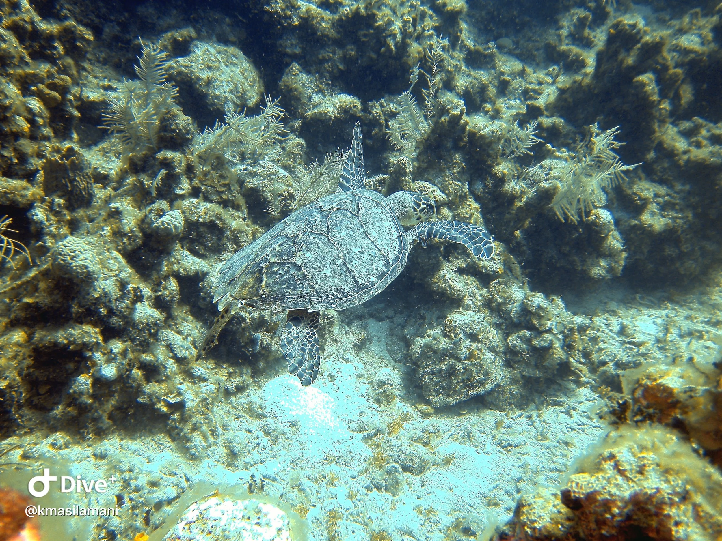 IMG_2484.JPG