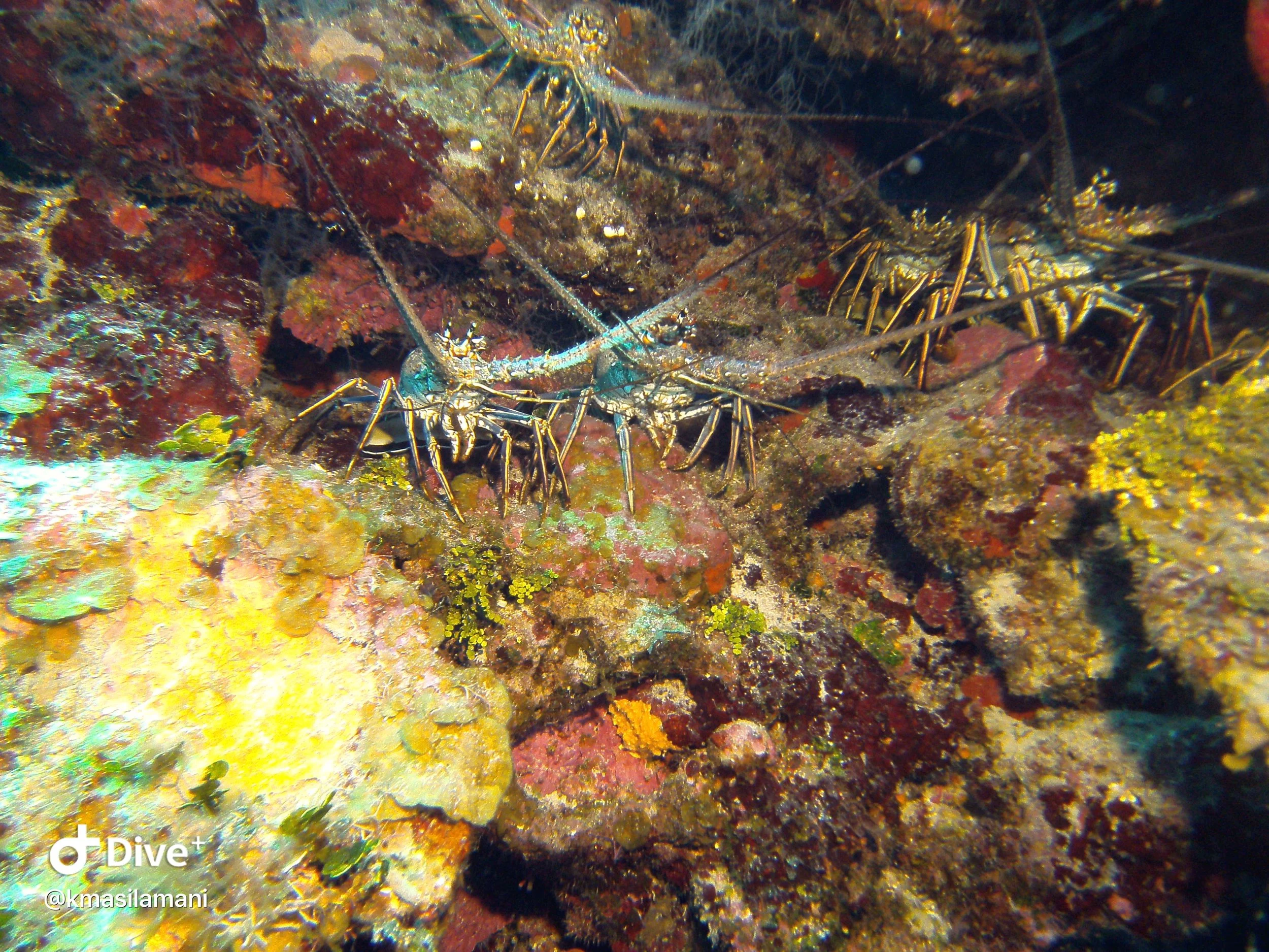 IMG_2495.JPG