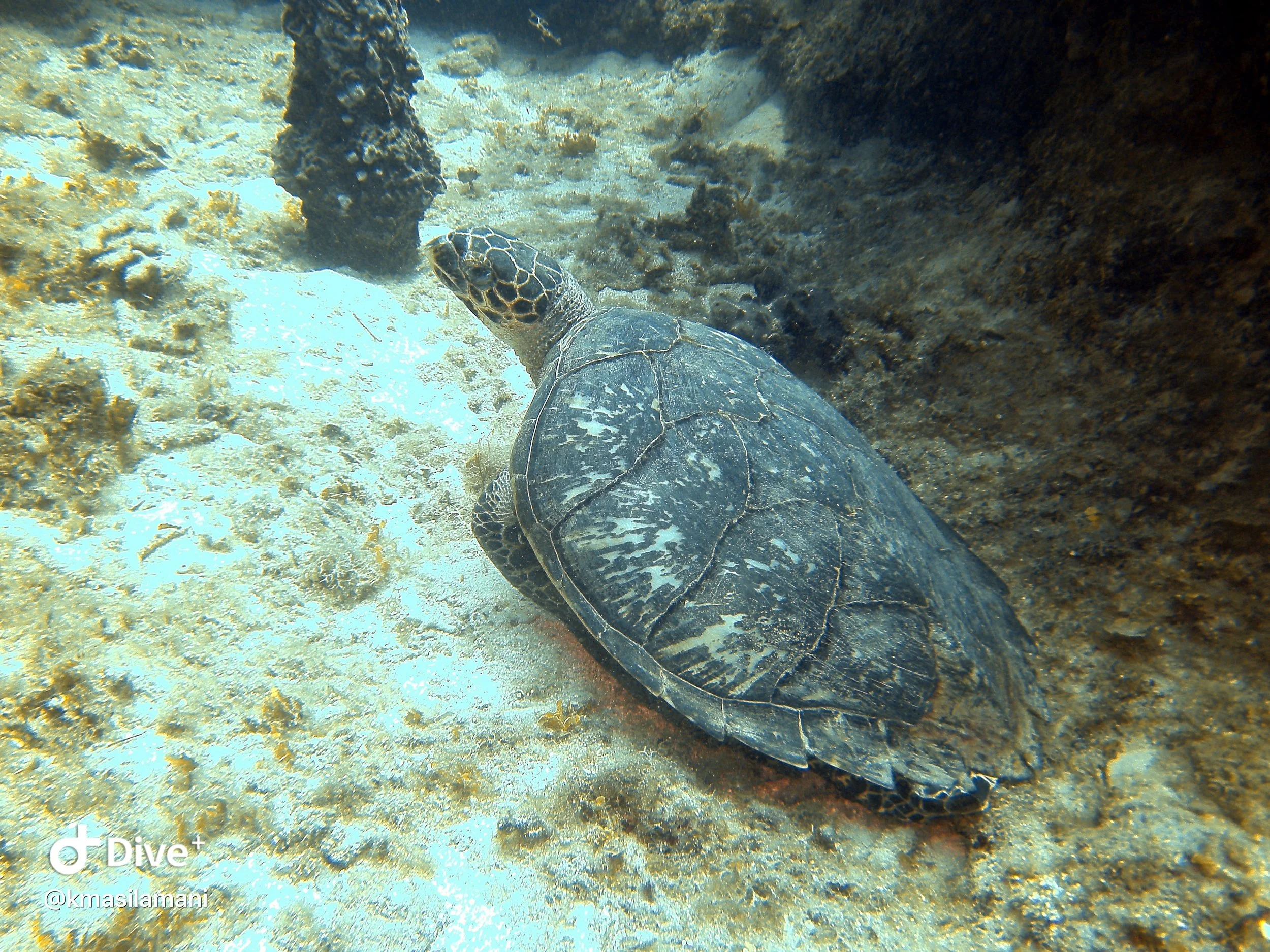 IMG_3643.JPG