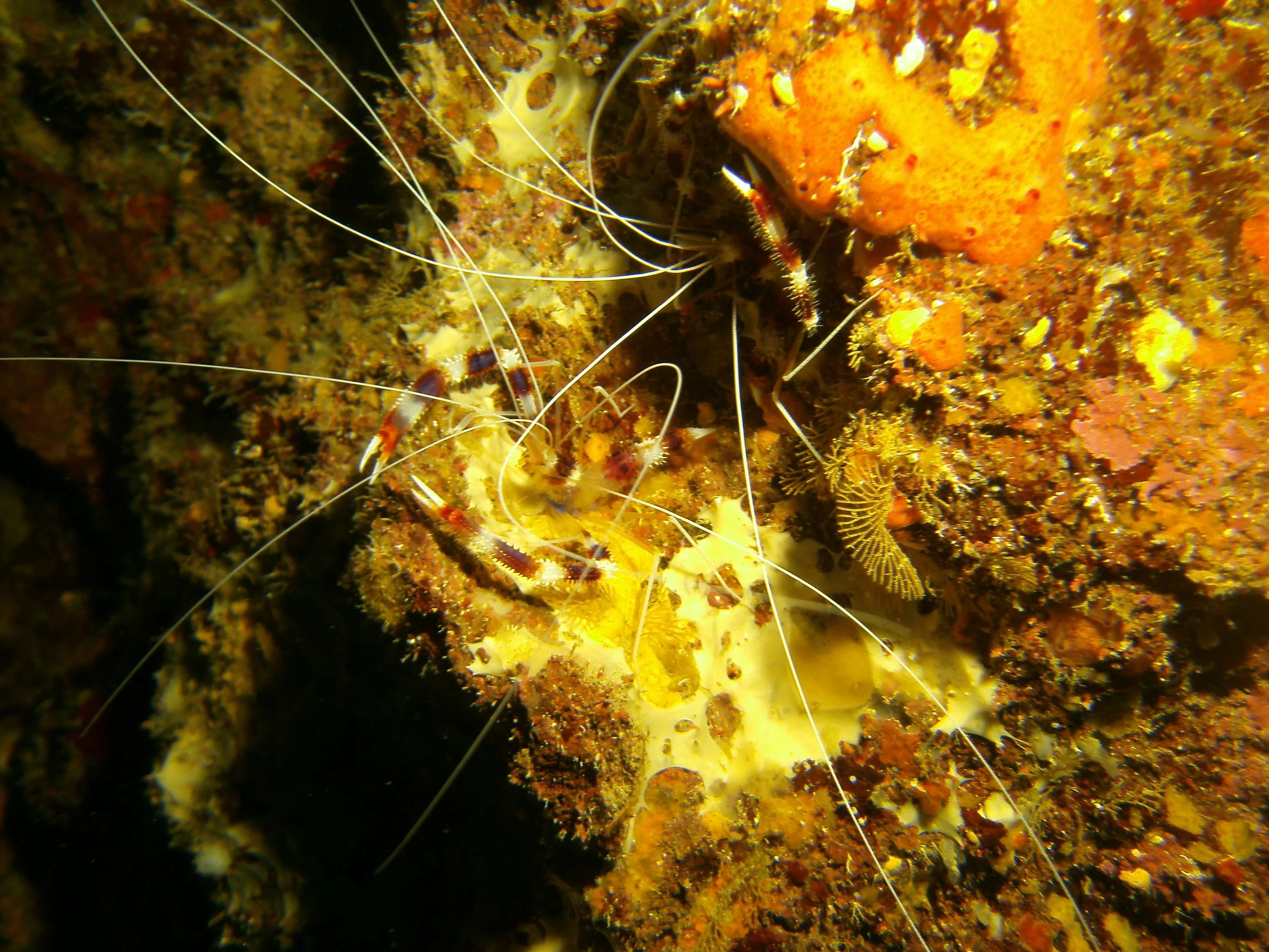 PICT1762.JPG