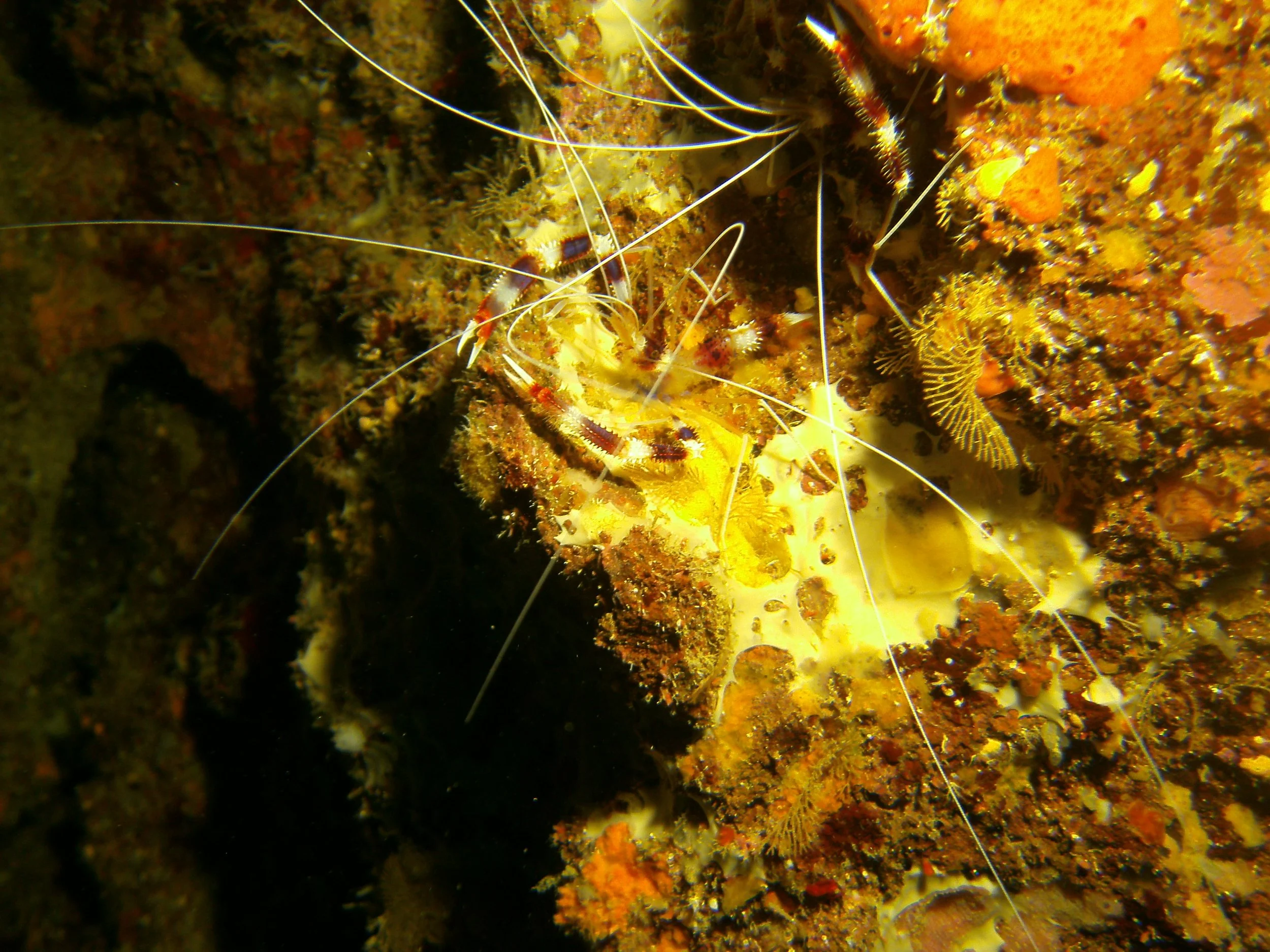 PICT1763.JPG