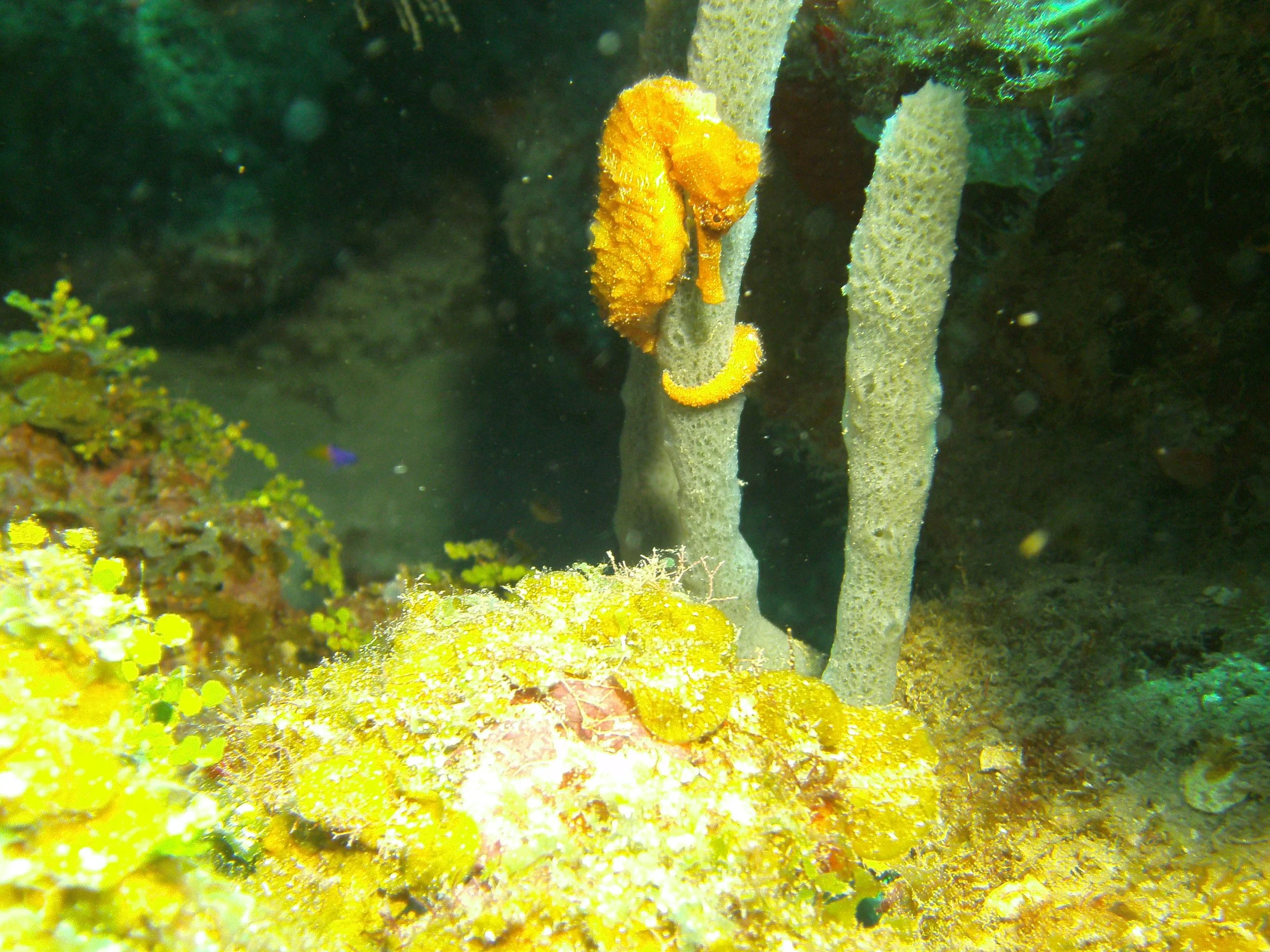 PICT1780.JPG
