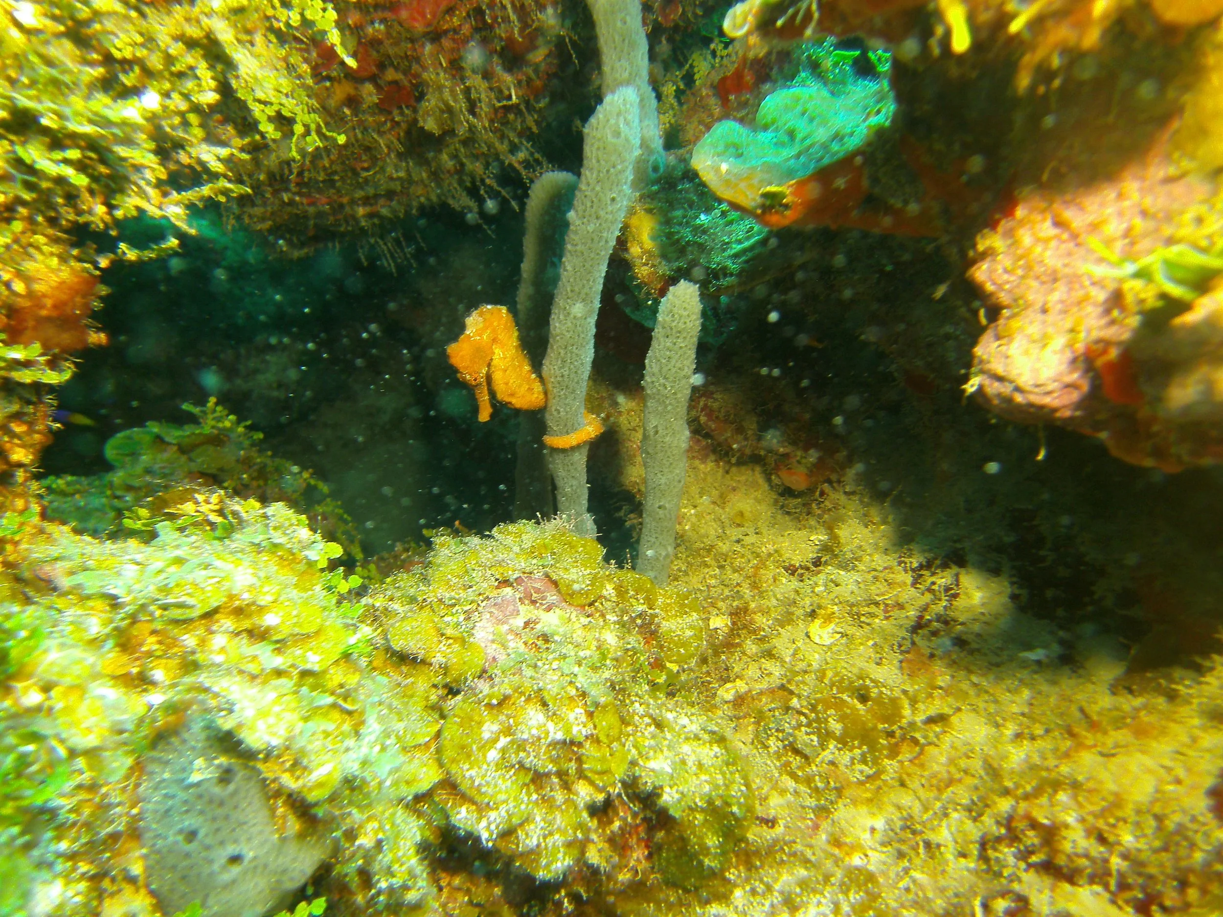 PICT1787.JPG