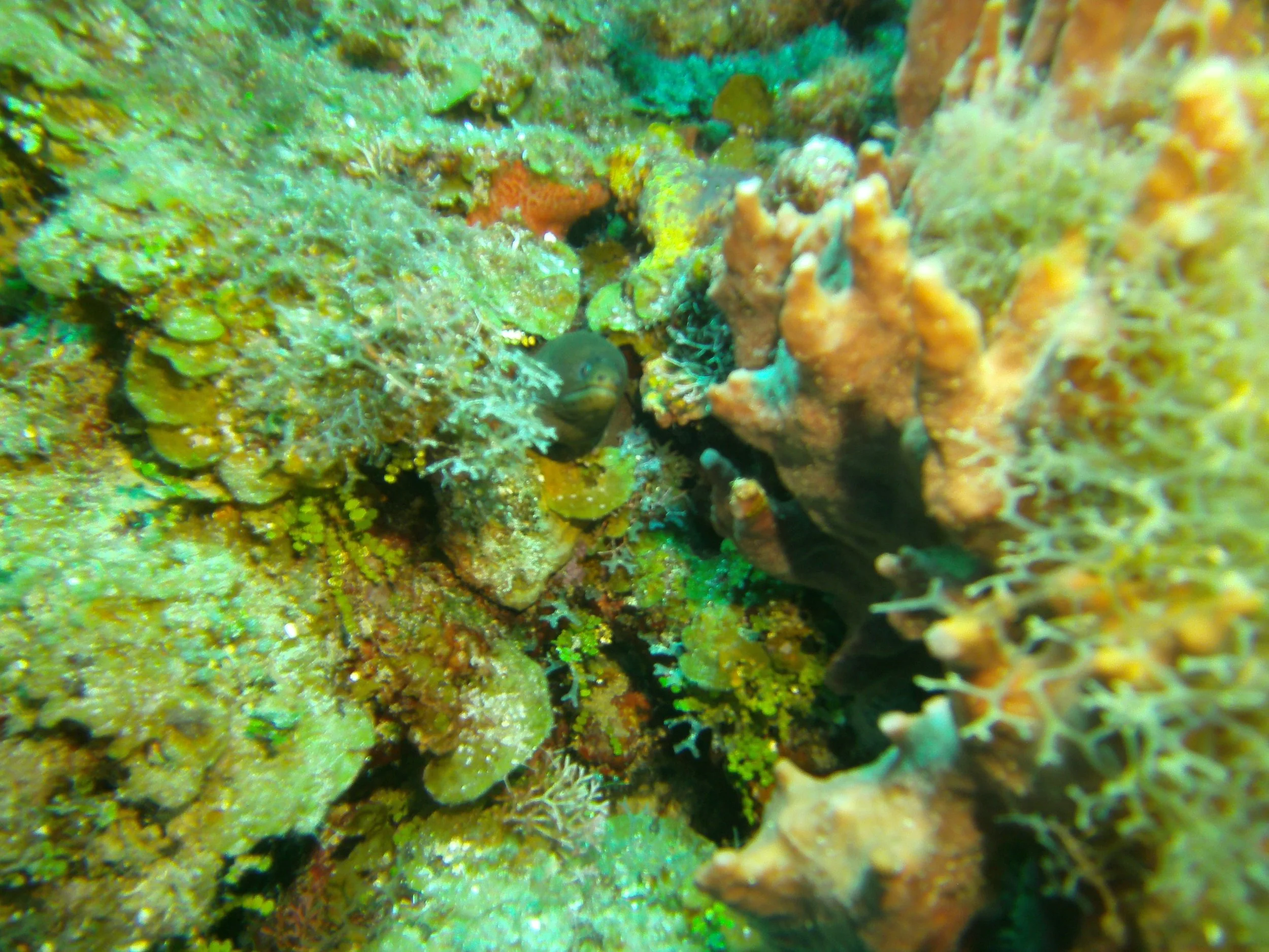 PICT1816.JPG