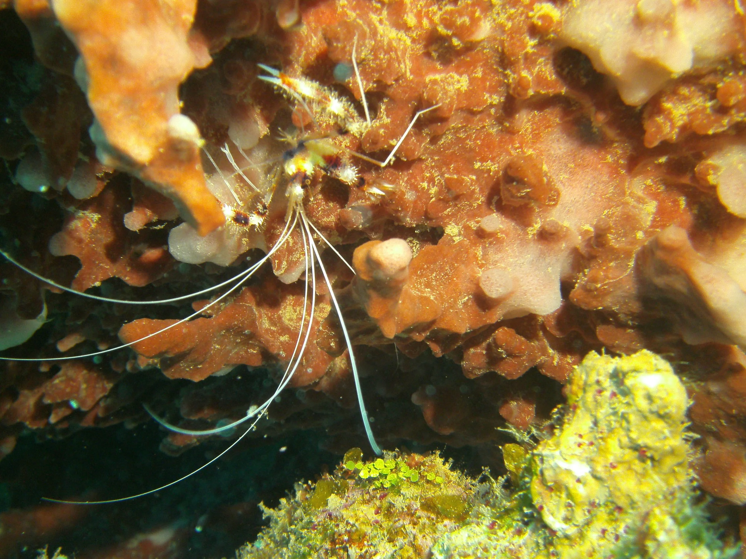 PICT1823.JPG