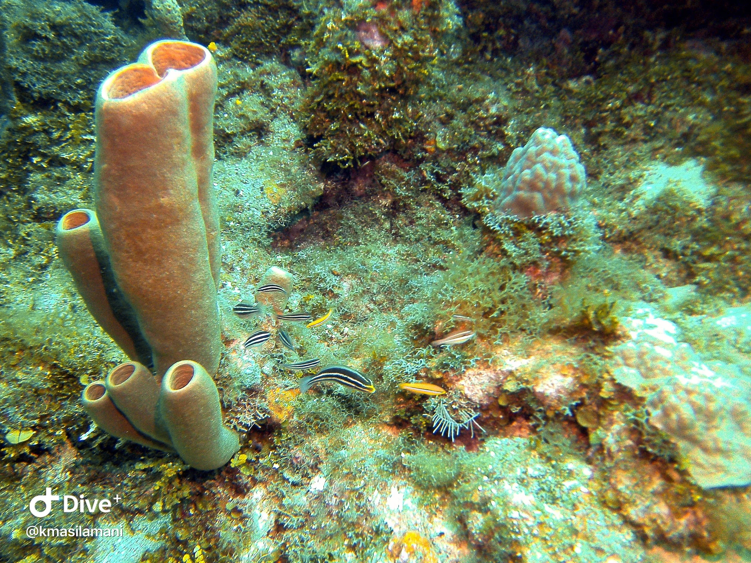 IMG_3481.JPG