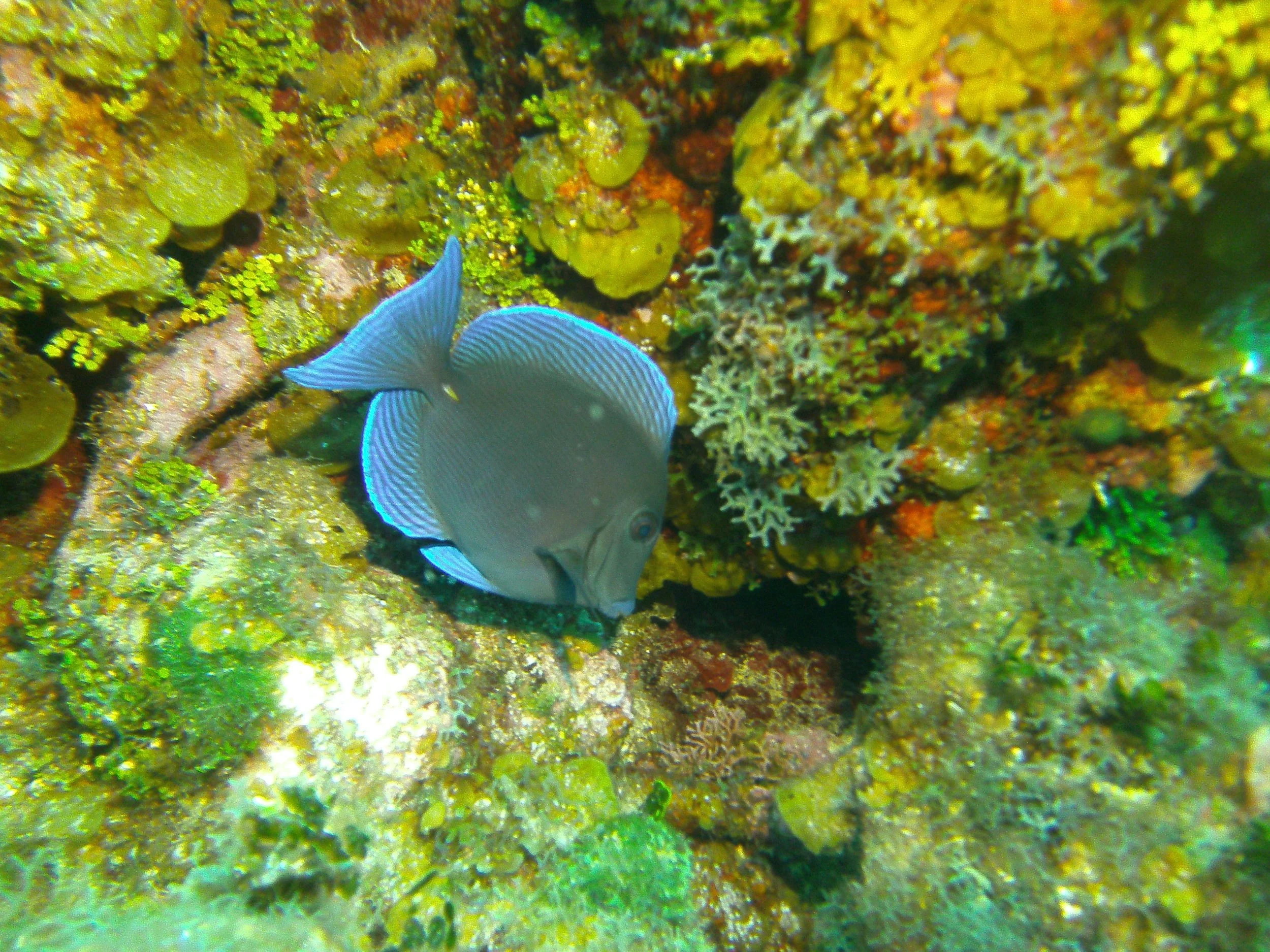 PICT1712.JPG