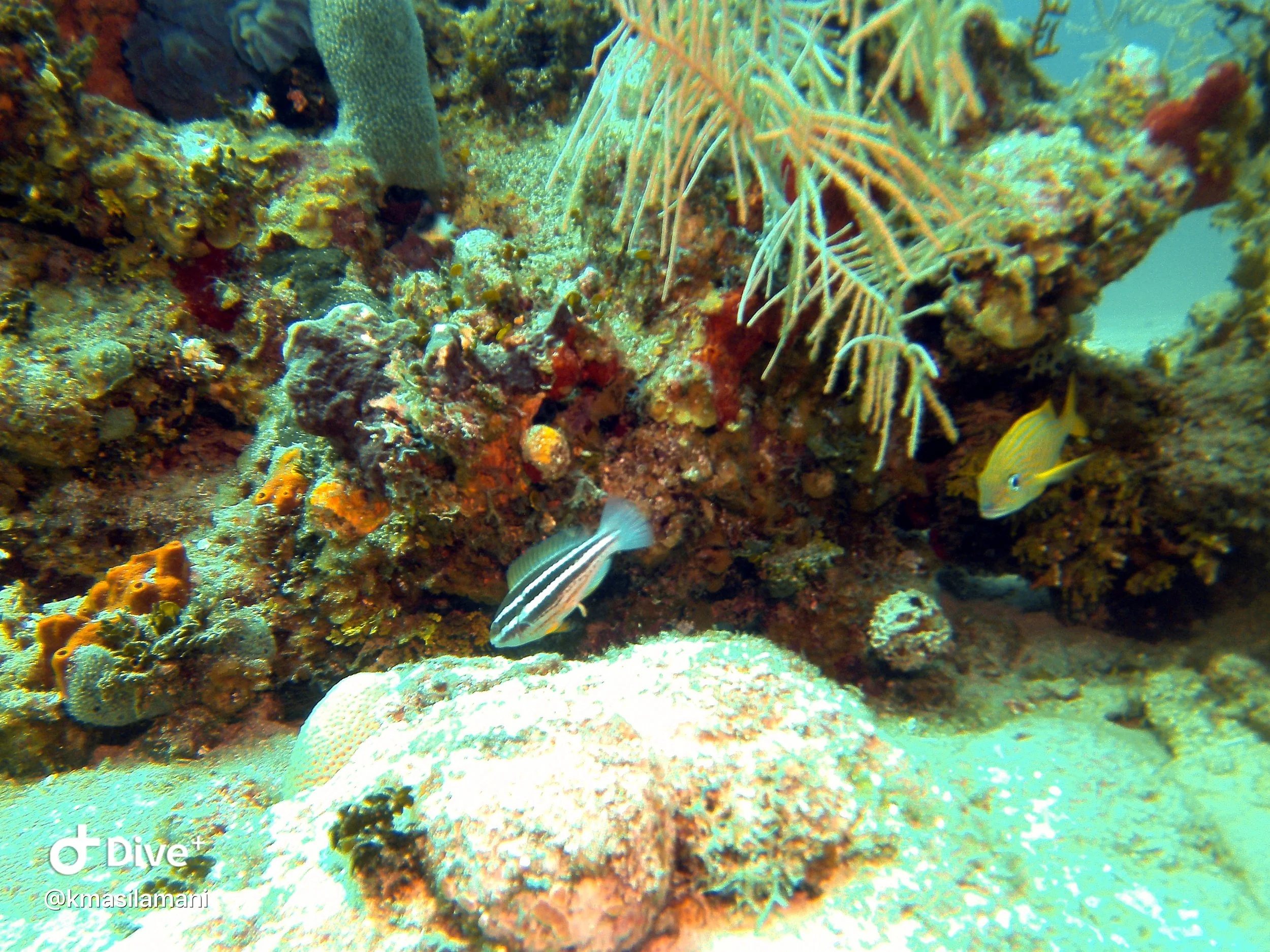 IMG_3323.JPG