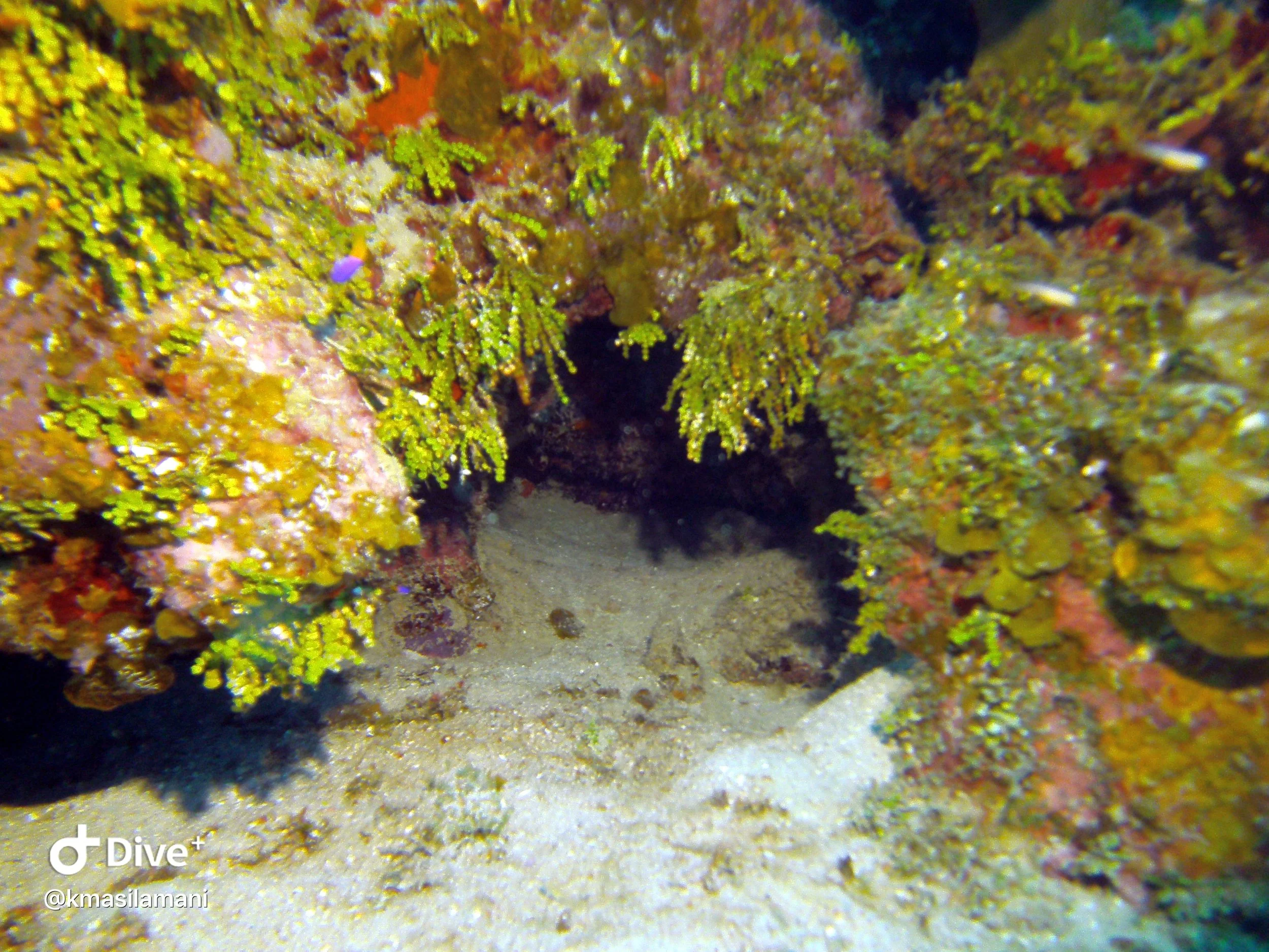 IMG_3324.JPG